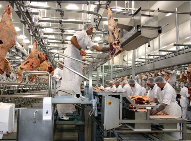 Meat processing industry, superspreading hot spots - 6147
