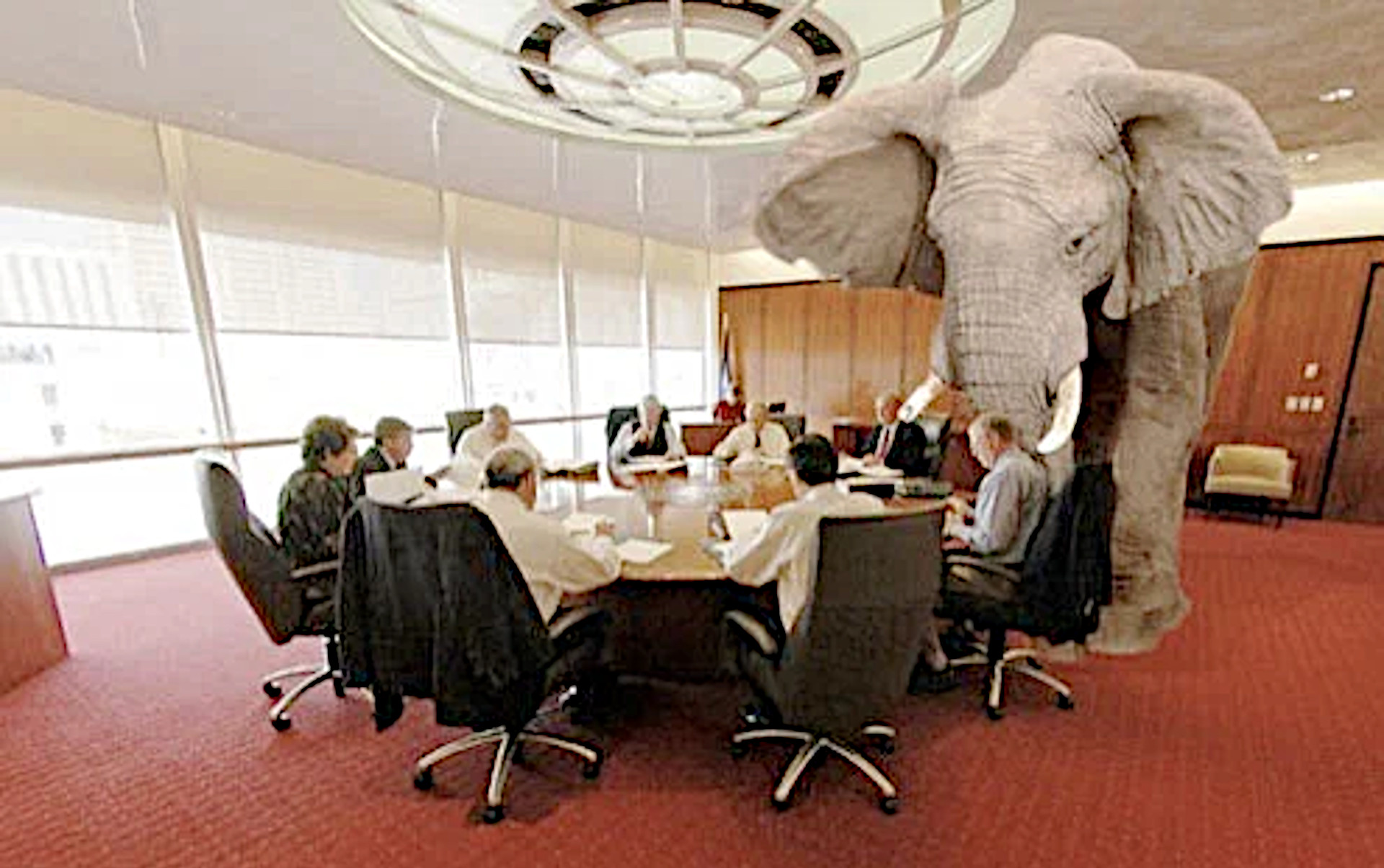 De olifant in de kamer - 14433