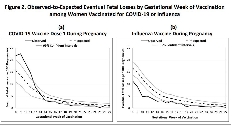 Hogere foetus-sterfte na mRNA-vaccinatie? - 109963