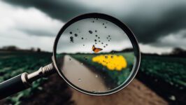Hoe de Eurobarometer systematisch een te positieve mening over de EU geeft - 110110